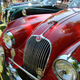 Image for article titled An Automotive Feast For The Eyes In Connecticut